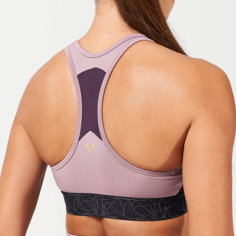 Lab360° TDry™ Sports Bra - Elderberry